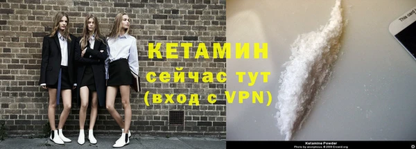 стафф Вяземский