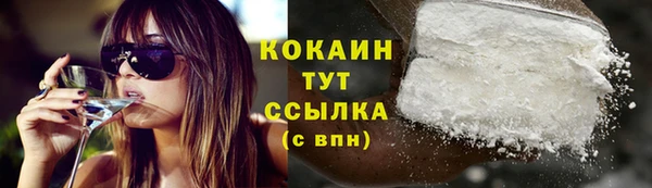 стафф Вяземский