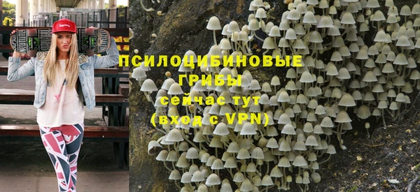 стафф Вяземский
