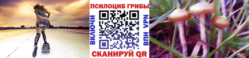 Псилоцибиновые грибы Magic Shrooms  цены наркотик  Майкоп 
