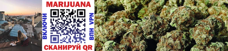 МАРИХУАНА SATIVA & INDICA  как найти закладки  Майкоп 